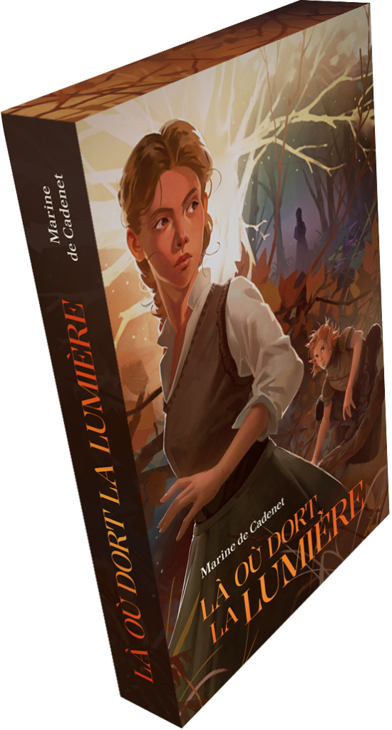 Mock-up avec jaspage de Là où dort la lumière.